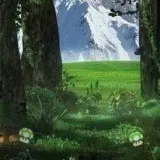 Събирач на гъбки 5
