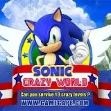 Sonic - crazy world