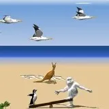 Йети и албатросите